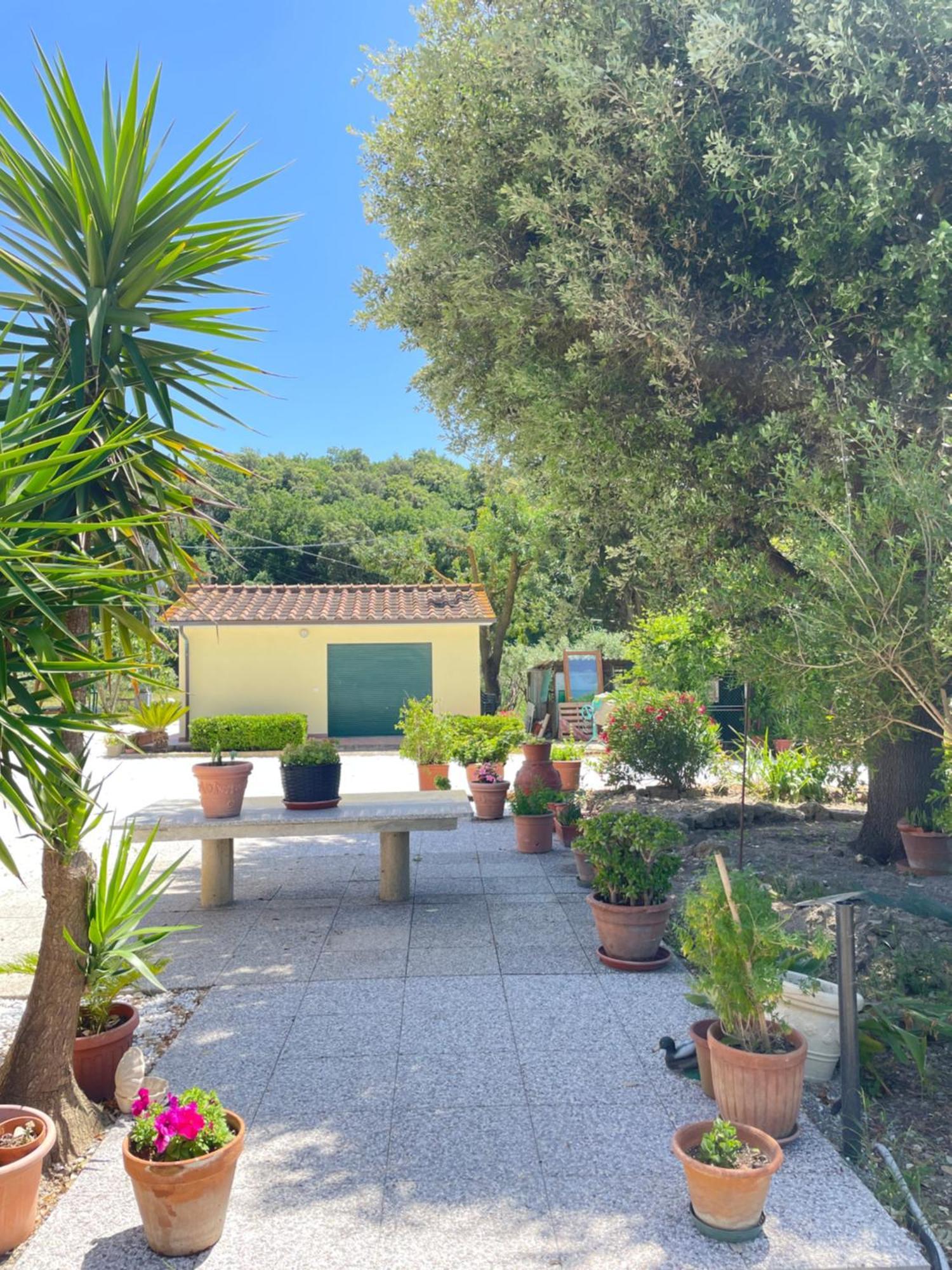 Il Leccio Agriturismo Fiorino Extérieur photo