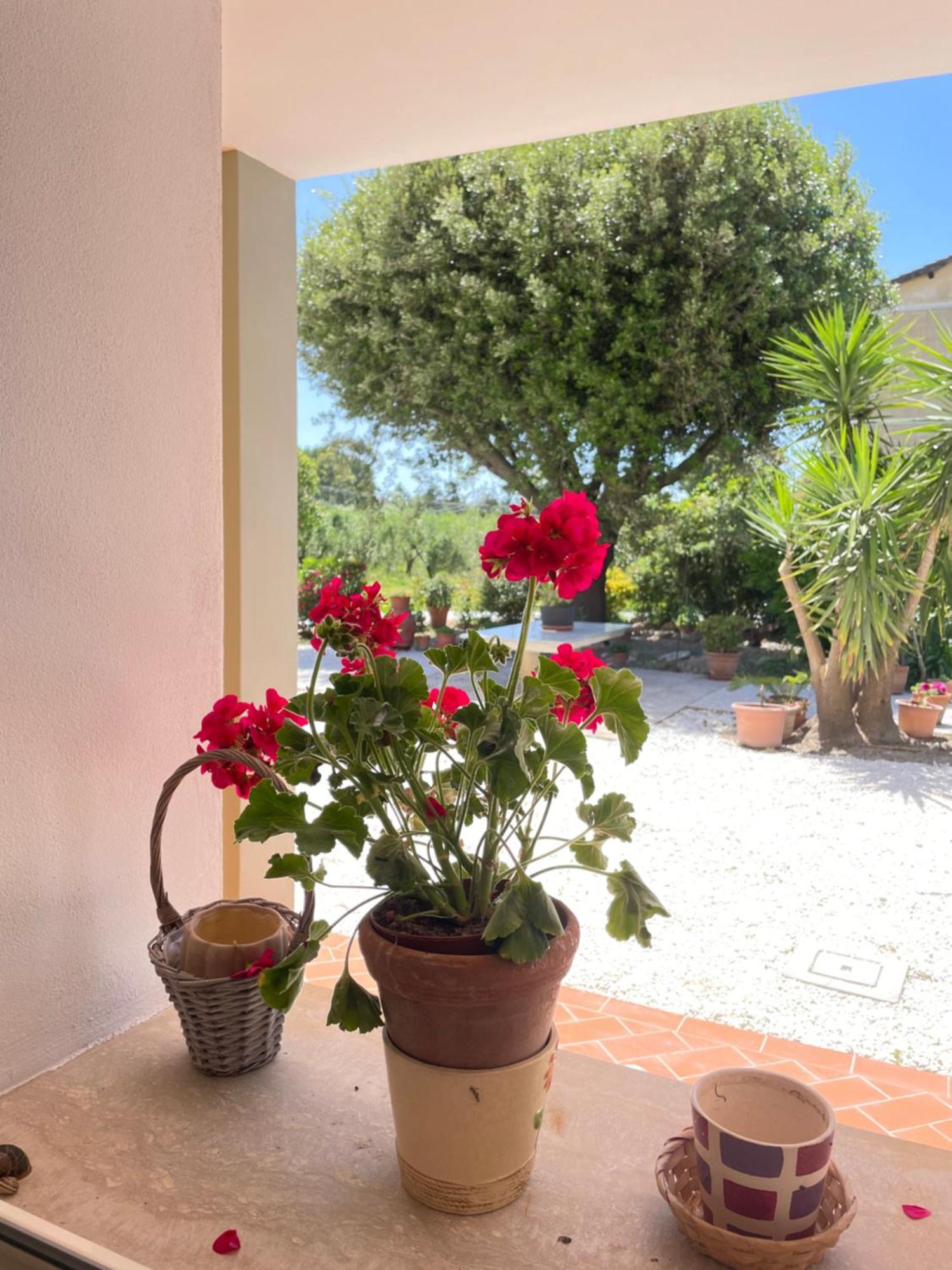 Il Leccio Agriturismo Fiorino Extérieur photo