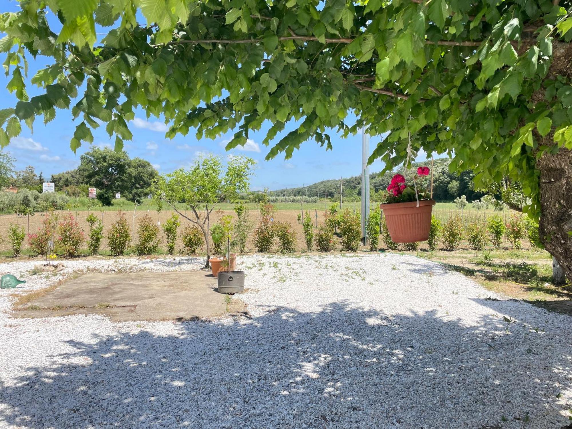 Il Leccio Agriturismo Fiorino Extérieur photo
