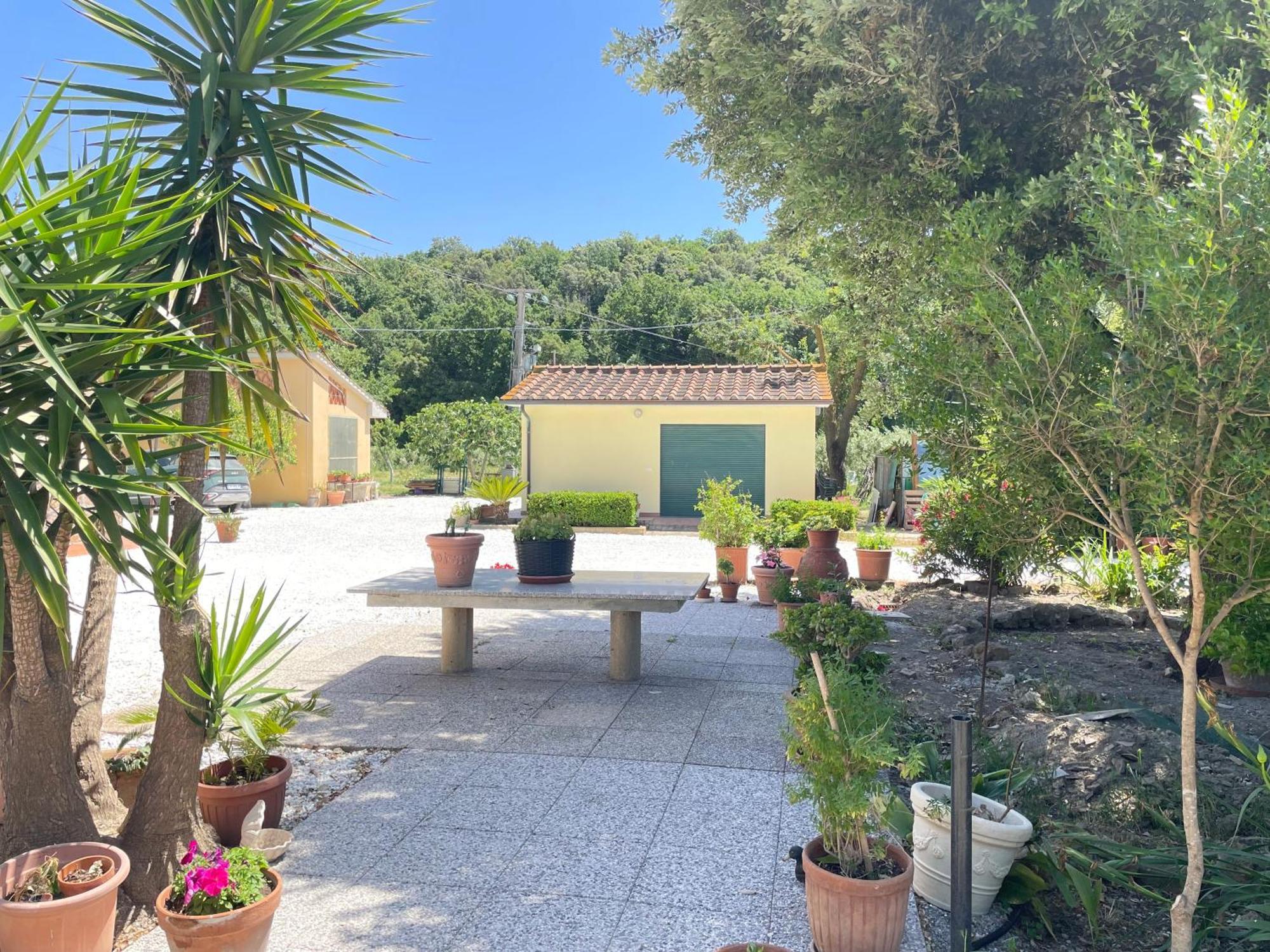 Il Leccio Agriturismo Fiorino Extérieur photo