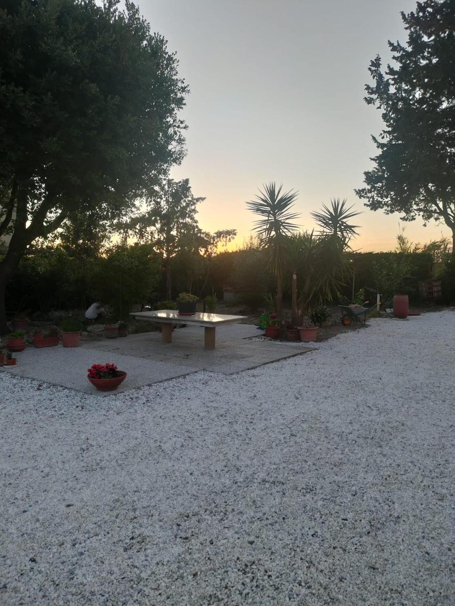 Il Leccio Agriturismo Fiorino Extérieur photo