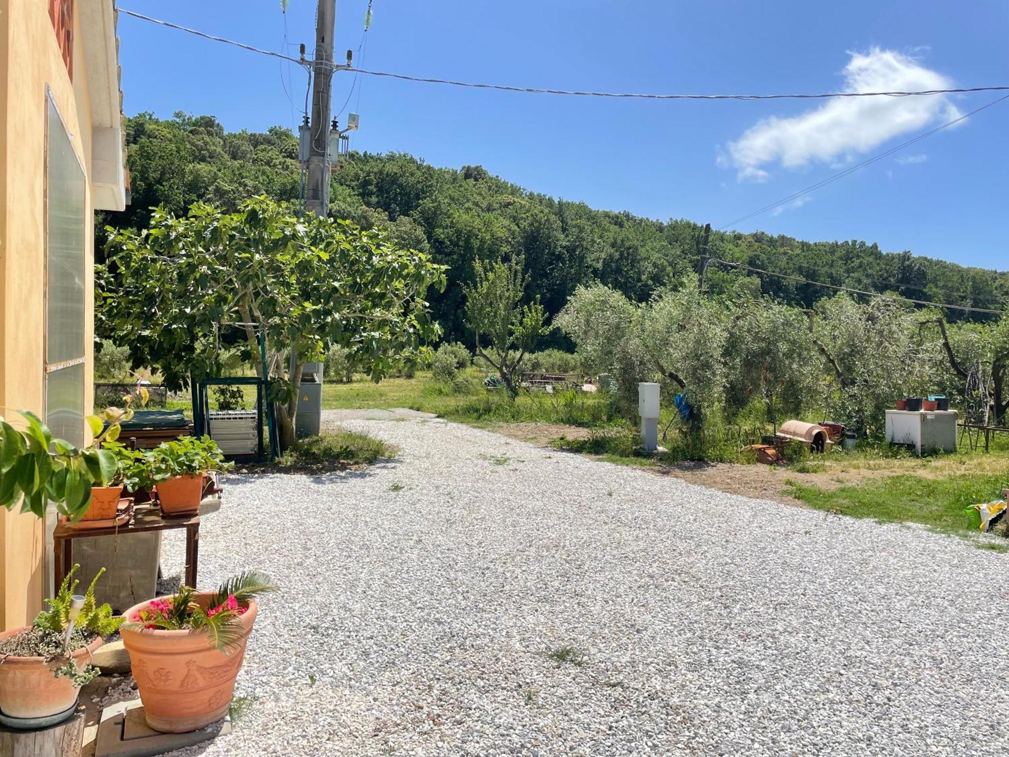 Il Leccio Agriturismo Fiorino Extérieur photo