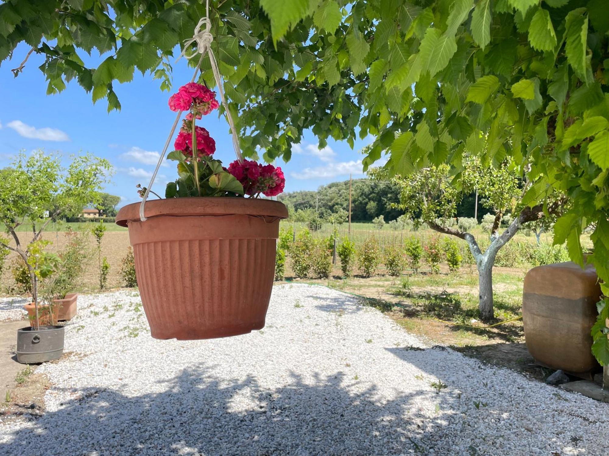 Il Leccio Agriturismo Fiorino Extérieur photo