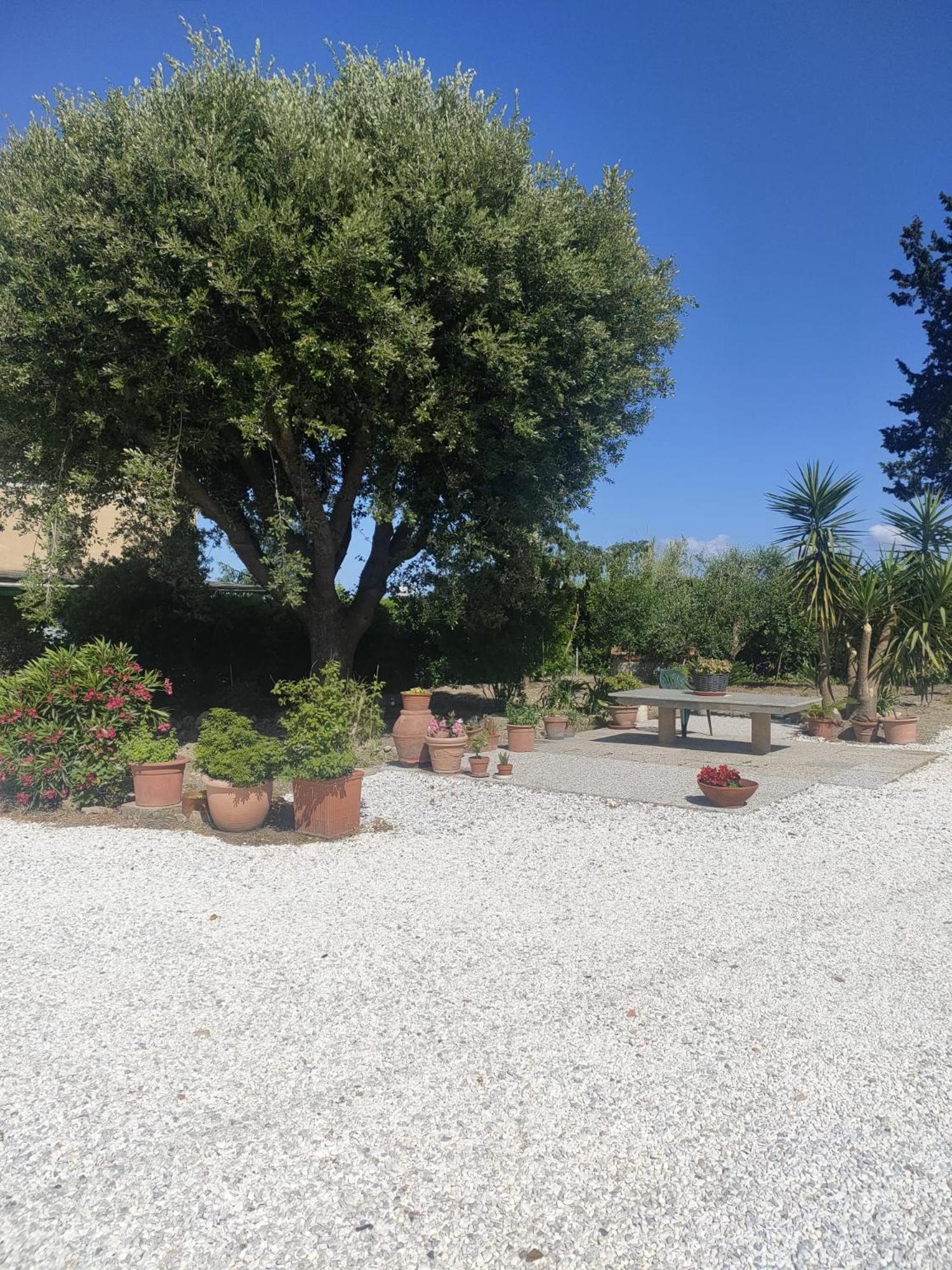 Il Leccio Agriturismo Fiorino Extérieur photo