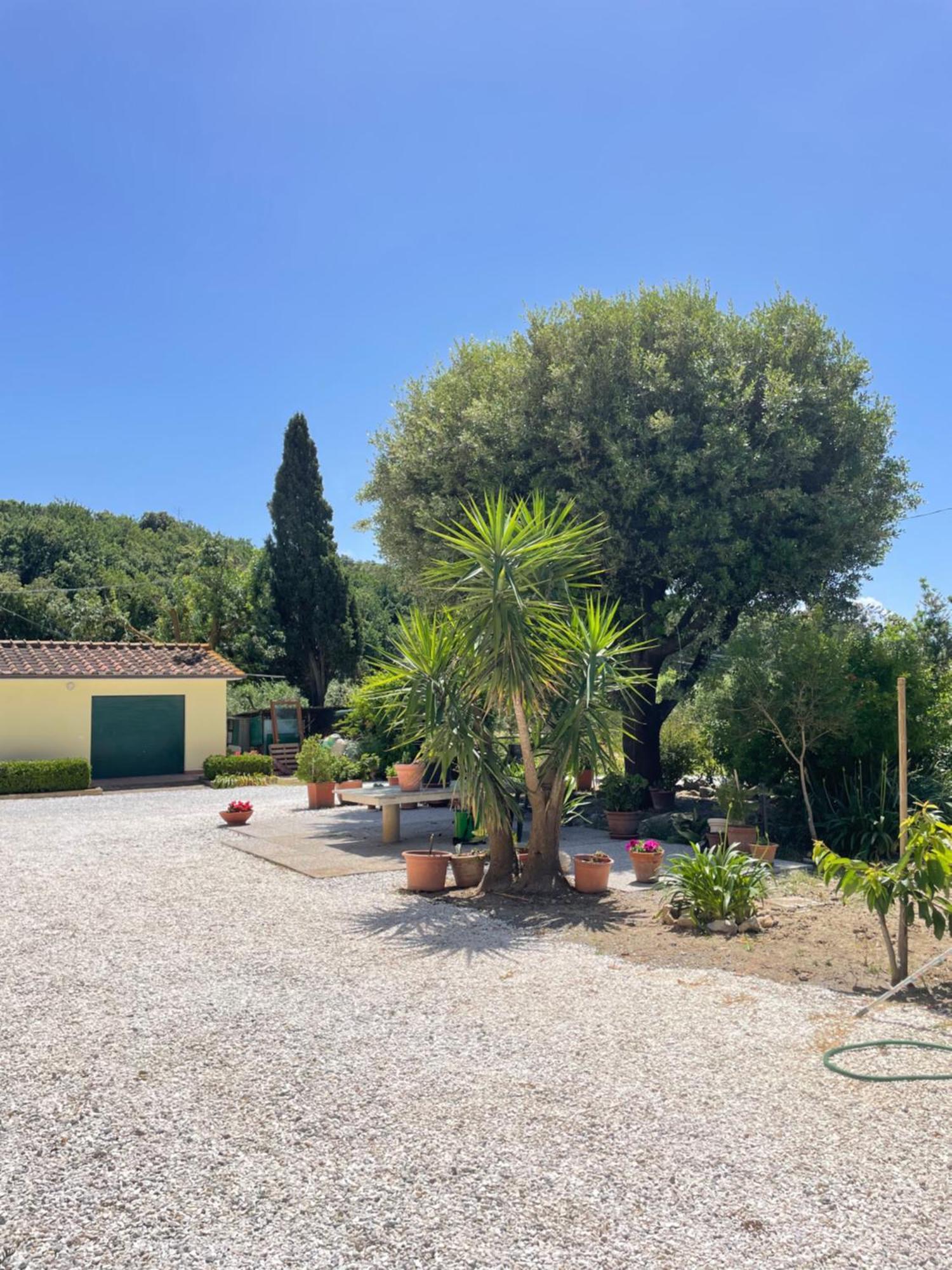 Il Leccio Agriturismo Fiorino Extérieur photo