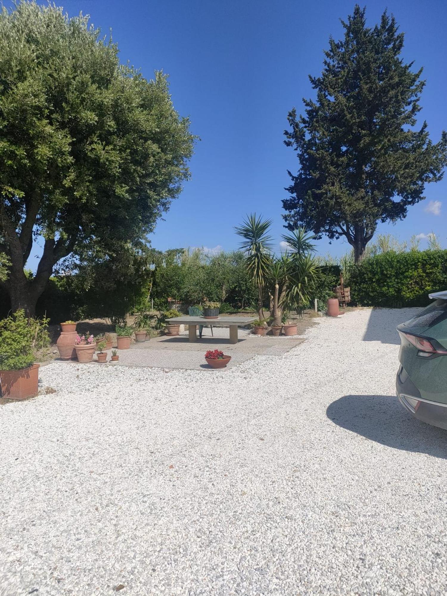 Il Leccio Agriturismo Fiorino Extérieur photo